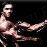 Work out ANIMALS Avatar